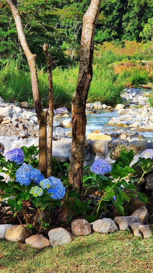 בוקט Rio Verde By Villa Alejandro מראה חיצוני תמונה